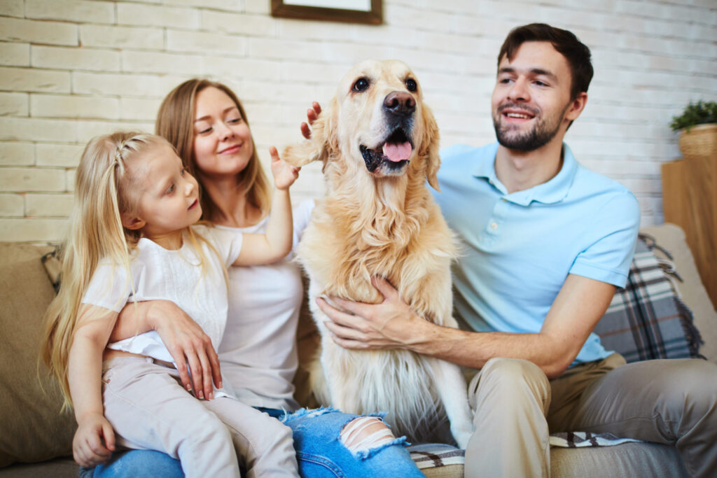 Exploring the World of Pet Insurance: What Companies Offer