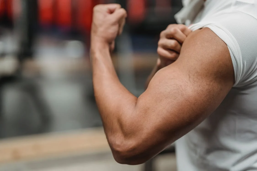 HOW TO BUILD ARM MUSCLE FAST