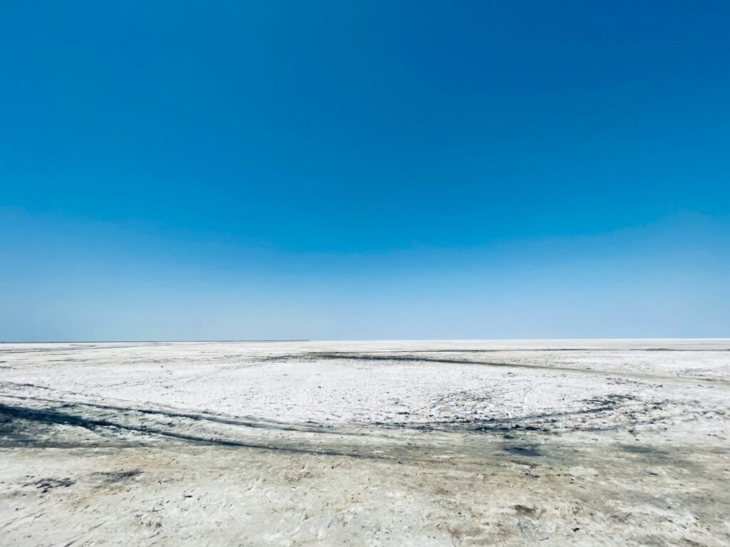 Rann of Kutch: Where Salt Meets the Sky Offbeat Summer Destinations